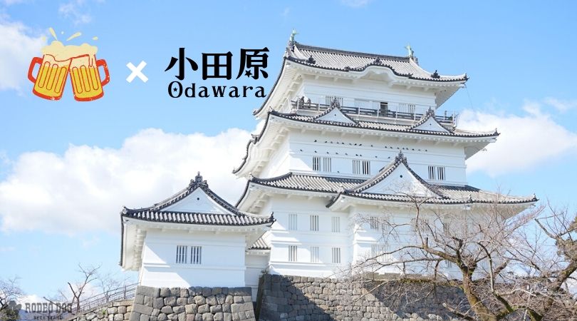 11 Restaurants Where You Can Drink Craft Beer in Odawara